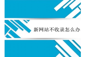 企业新网站不收录怎么办-快速收录方法
