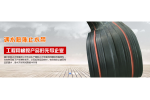 橡胶止水环优化案例