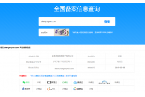 如何查询域名是在哪个渠道备案的