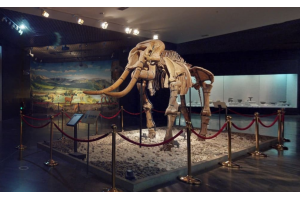 3d展厅行业优化案例
