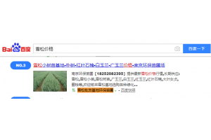 雪松树苗 案例