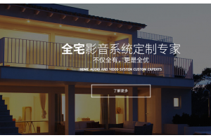 音响行业优化案例