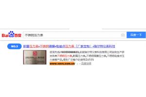 压力表 案例三