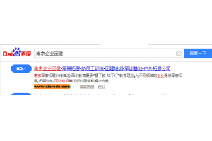 拓展公司 案例